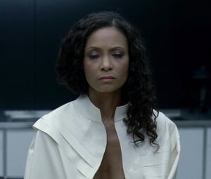 Thandie Newton, Angela Sarafyan, Tessa Thompson, Evan Rachel Wood nude - Westworld S01E07 (2016)