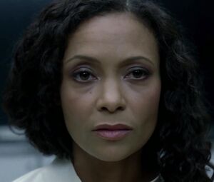 Thandie Newton, Angela Sarafyan, Tessa Thompson, Evan Rachel Wood nude - Westworld S01E07 (2016)