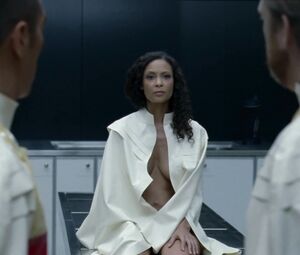 Thandie Newton, Angela Sarafyan, Tessa Thompson, Evan Rachel Wood nude - Westworld S01E07 (2016)