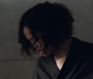 Thandie Newton, Angela Sarafyan, Tessa Thompson, Evan Rachel Wood nude - Westworld S01E07 (2016)