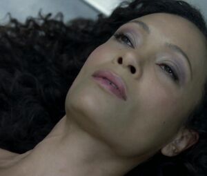 Thandie Newton, Angela Sarafyan, Tessa Thompson, Evan Rachel Wood nude - Westworld S01E07 (2016)