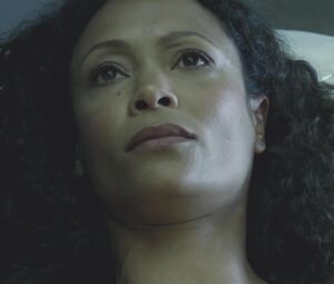 Thandie Newton, Evan Rachel Wood - Westworld S01E02 (2016)