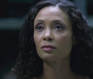 Thandie Newton nude - Westworld S01E08 (2016)