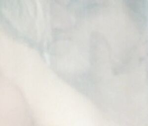 Carmen Birk & Ulrike C. Tscharre - Im Angesicht des Verbrechens (2008)