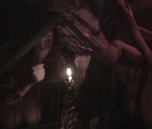 Filosofia na Alkova (2009)