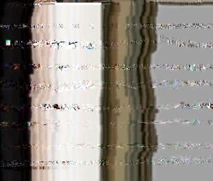 Jaclyn DeSantis & Aliya Campbell naked actresses - Road Trip (2000)