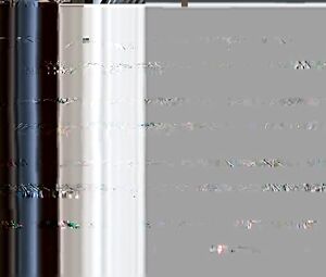 Jaclyn DeSantis & Aliya Campbell naked actresses - Road Trip (2000)