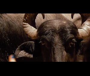 Livia De Bueno Nathalia Dill ParaΓsos Artificiais (2012) (Paradise)