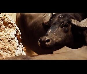 Livia De Bueno Nathalia Dill ParaΓsos Artificiais (2012) (Paradise)