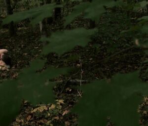 Lucretia Lynn - Harvest Lake (2016)