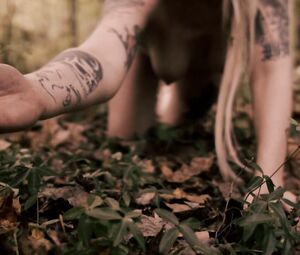 Lucretia Lynn - Harvest Lake (2016)