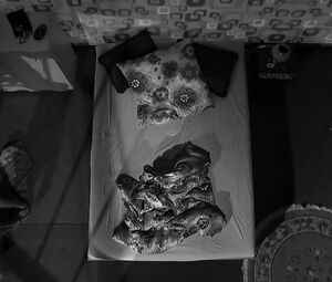 Luise Heyer & Petra Herrlein & Sascia Haj - HARTE (2015)