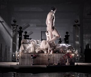 Maaike Neuville - Goltzius and the Pelican Company (2012)