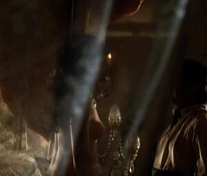 Natalia Worner - The Elephant Never Forgets (1995)