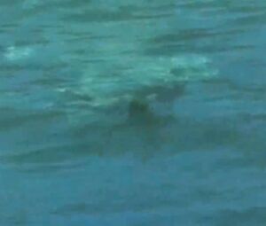 Phoebe Cates Paradise (1982)