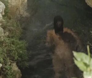 Phoebe Cates Paradise (1982)