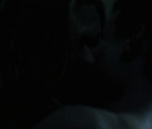 Anna Paquin, Maura Tierney nude - The Affair s05e03 (2019)