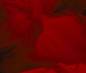 Nola Palmer, Gaite Jansen, Corrin Evans nude - Jett s01e09 (2019)