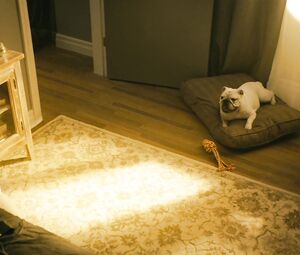 Shantel VanSanten nude - The Boys s01e04 (2019)