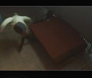 Zepyur Brutyan nude, Alena Mihailova - V kletke s01e09 (2019)