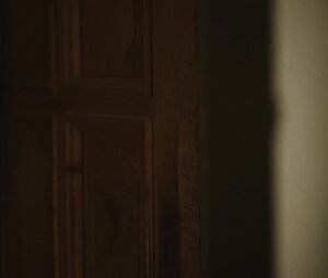 Zepyur Brutyan nude, Alena Mihailova - V kletke s01e09 (2019)