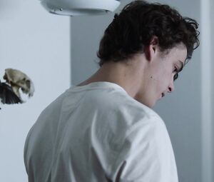 Aurora Perrineau nude - Into The Dark s01e08 (2019)