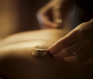 Camila Morgado, Andrea Beltrao nude - Albatroz (2019)