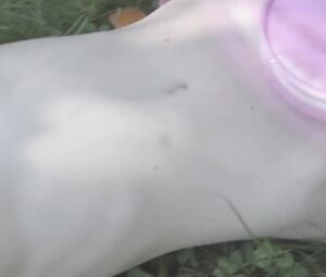 Jade Hуnot nude - Darris Paris - Camping Palace (2018)