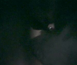 Aurora Perrineau nude - BOO! (2019)