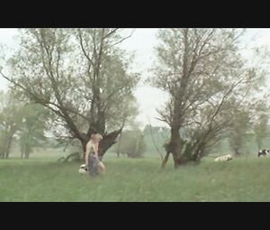 Explicit sex movie "La vie de Jésus"