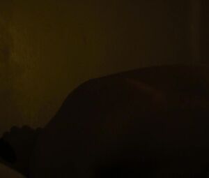 Melanie Laurent sex scene of the film "Enemy"