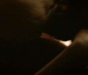 French Sex Video "Le Plaisir de Chanter" Adult Movie