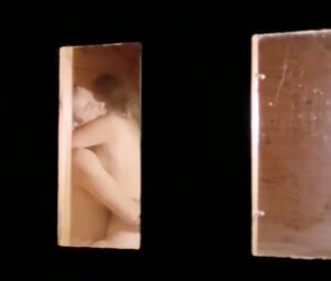 Explicit male nudity and Sex Scene from the movie Naisenkuvia