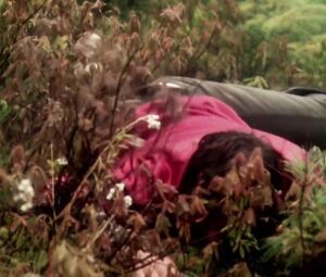 Sex Scenes of Classic Adult Film  "La tete de Normande St-Onge" (1975)