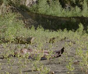Salome Richard sex video - Septembre (2013)