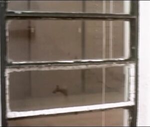 Explicit Celebs Nude & Sex VIdeo | The movie "Battle In Heaven" | Released in 2005