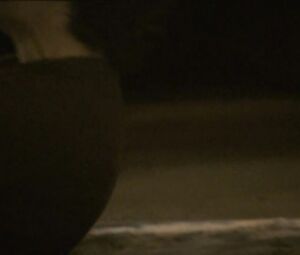 Nude Gillian Alexy, Yael Stone - West (2007)