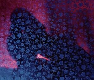 Naked Kathleen Turner and Janice Renney of the classic movie Crimes of Passion (1984)