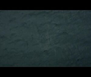 Full Frontal and Sex scene by naked actress Stacy Martin - Nymphomaniac DC (2013)