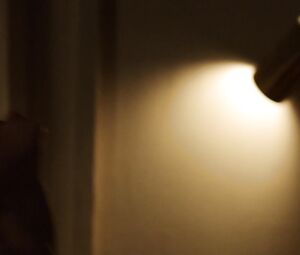 Hot Scenes Margarita Levieva, Lake Bell - How to Make It in America s02e01-02 (2011)