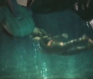 Nude ADV Alte Werbung FA SEIFE MIT DER WILDEN FRISCHE VON LIMONEN