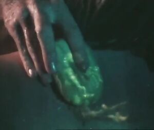 Nude ADV Alte Werbung FA SEIFE MIT DER WILDEN FRISCHE VON LIMONEN