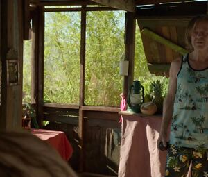 Naked celebs Bojana Novakovic - Shameless s05e12 (2015)