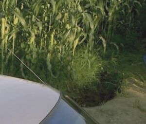 Celebs Nude Sex Video - Nathalie Hart - Siphayo (2016)