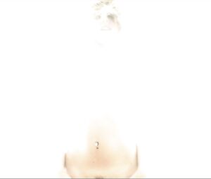 Naked on Music - Introducing Erotic