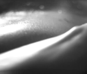 Nude Art - Close-Up Oil