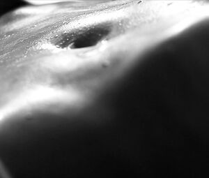 Nude Art - Close-Up Oil