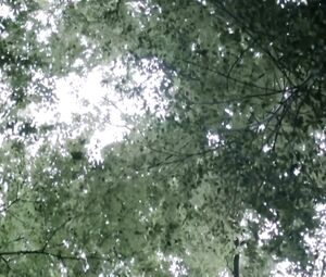 Naked Tessie Herrasti - La Marche du Monde (2013)