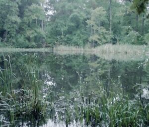 Naked Tessie Herrasti - La Marche du Monde (2013)