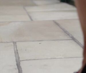 Naked Plaisirs d'Hôtel - Hôtel BEAUCOUR Strasbourg - Saison